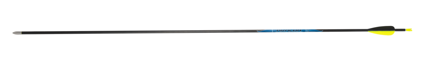 Avalon classic arrow