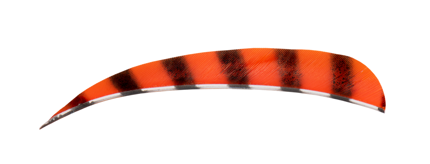 BUCK TRAIL ROUND BARRED COLOR FEATHERS